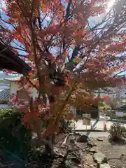 宝来山神社(和歌山県)