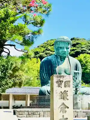 高徳院(神奈川県)