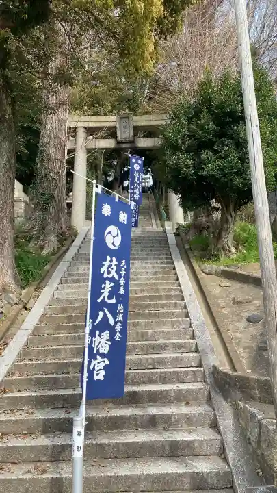 枝光八幡宮の{uncategorized: "未分類", other: "その他", undefined: "問題あり", building: "その他建物", grave: "お墓", sacred_gate: "鳥居", guardian: "狛犬", statue: "像", buddha: "仏像", history: "歴史", nature: "自然", garden: "庭園", animal: "動物", pagoda: "塔", temizu: "手水舎", mountain_gate: "山門・神門", sanctuary: "本殿・本堂", subordinate: "末社・摂社", art: "芸術", scenery: "景色", jizo: "地蔵", ema: "絵馬", goshuin: "御朱印", omikuji: "おみくじ", items: "授与品その他", amulet: "お守り", goshuincho: "御朱印帳", eats: "食事", festival: "お祭り", votive_dance: "神楽", shichigosan: "七五三参", wedding: "結婚式", experience: "体験その他", initially: "初詣", around: "周辺", anti_infection: "感染症対策"}