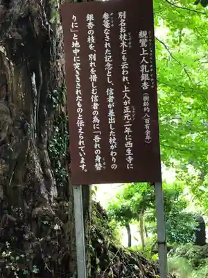 西生寺(新潟県)