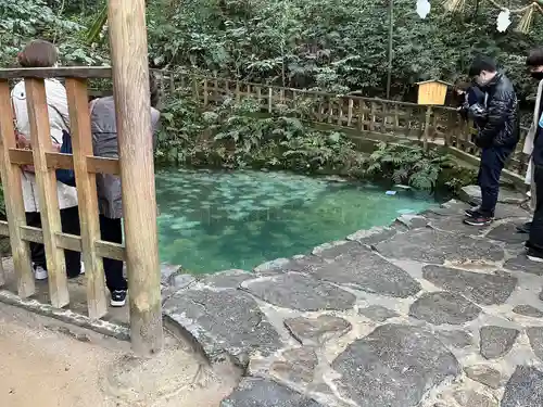 八重垣神社のその他建物
