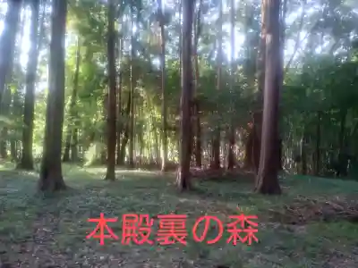 五社神社(神奈川県)