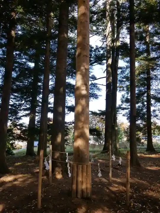 乙事諏訪神社のその他建物