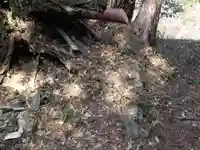 岩上神社の自然