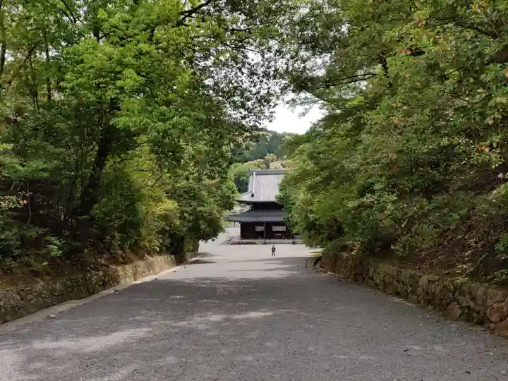 御寺 泉涌寺のその他建物