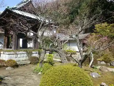 海蔵寺の本殿・本堂