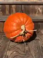 木舟山 順教寺(広島県)