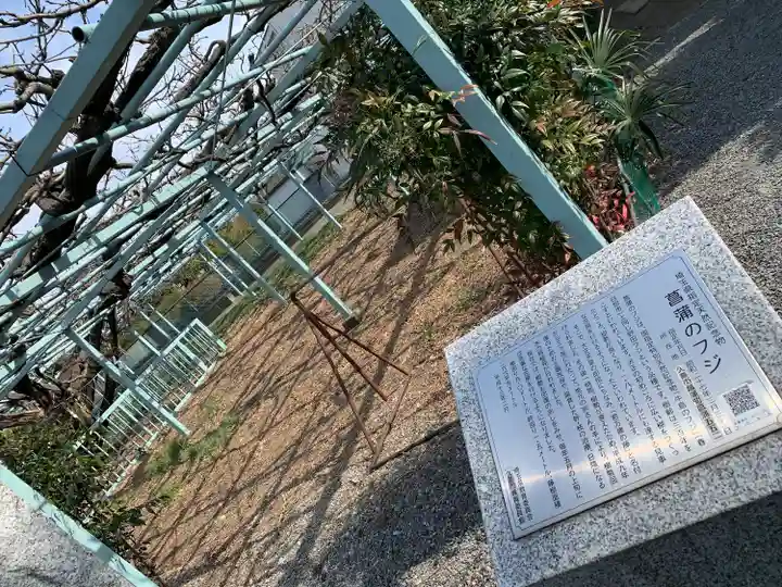 菖蒲神社の自然