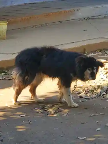 密蔵院(栃木県)