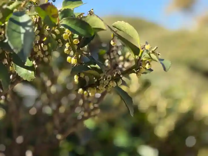 西方山極楽寺(岐阜県)