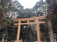 明治神宮(東京都)