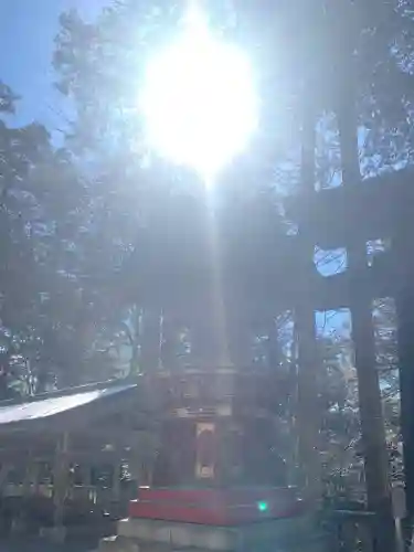 三峯神社(埼玉県)