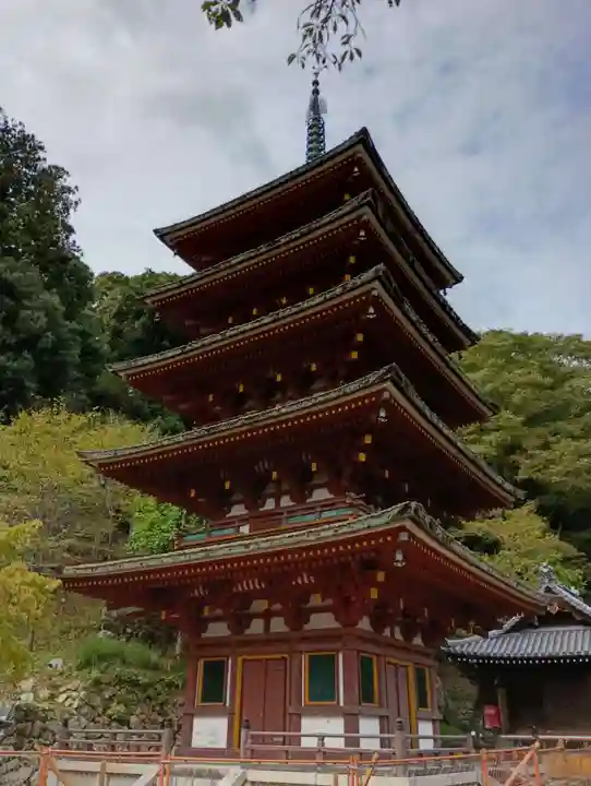 長谷寺(奈良県)