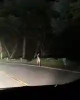 赤薙山神社(栃木県)