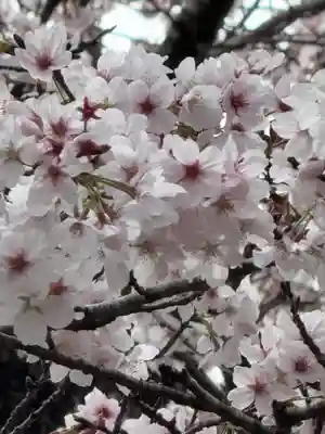 石水寺(熊本県)