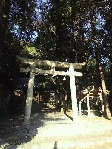 松尾寺の鳥居