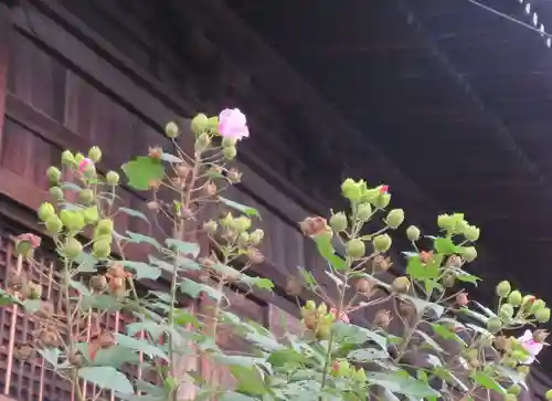 舎那院(滋賀県)