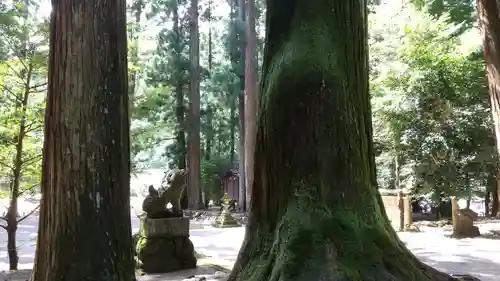 室生龍穴神社(奈良県)