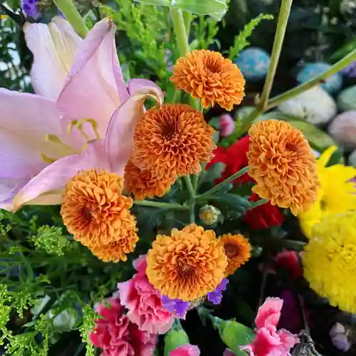 滑川神社 - 仕事と子どもの守り神の手水舎