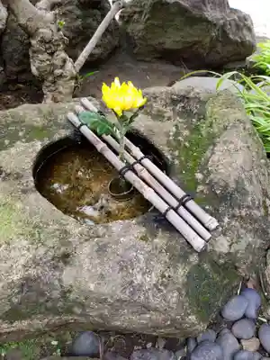 龍泉院の手水舎