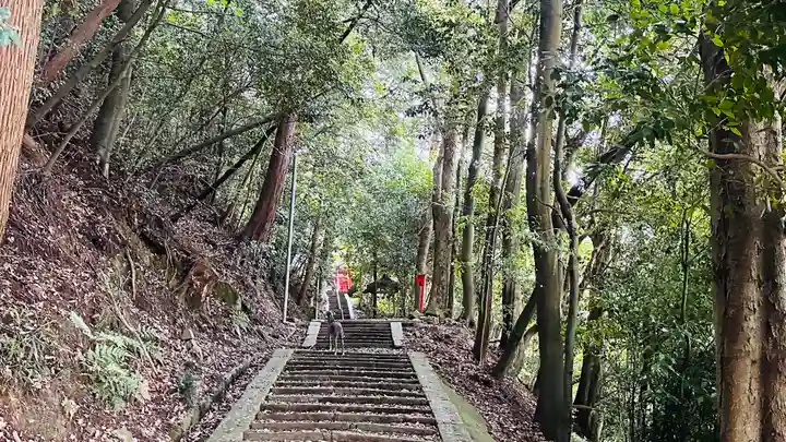 勝手神社(京都府)