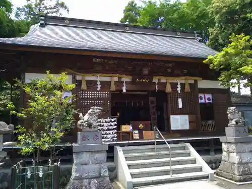 玉川神社の狛犬