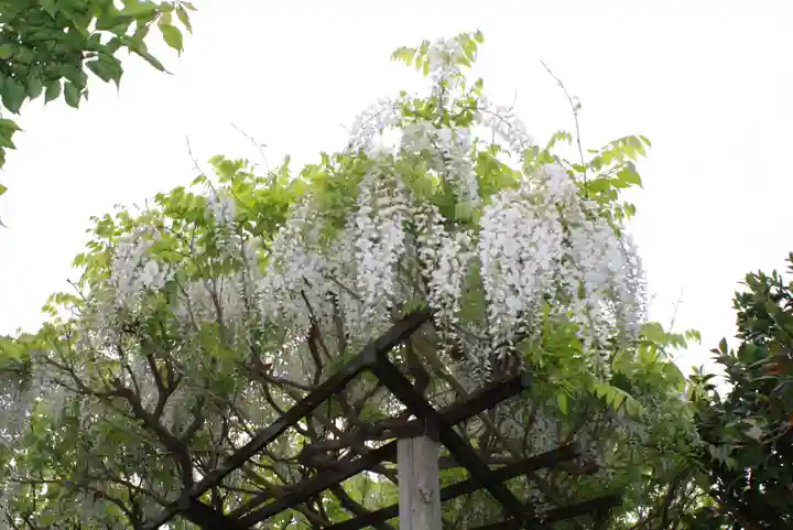 石光寺(奈良県)