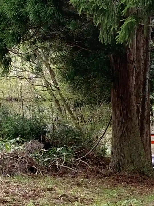 赤瀧神社の自然