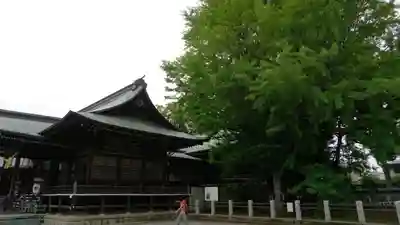 葛飾八幡宮の本殿・本堂
