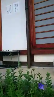 晴明神社のその他建物