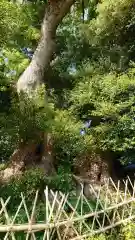 賀久留神社の自然