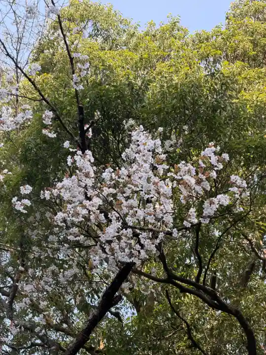 月夜見宮(豊受大神宮別宮)の{uncategorized: "未分類", other: "その他", undefined: "問題あり", building: "その他建物", grave: "お墓", sacred_gate: "鳥居", guardian: "狛犬", statue: "像", buddha: "仏像", history: "歴史", nature: "自然", garden: "庭園", animal: "動物", pagoda: "塔", temizu: "手水舎", mountain_gate: "山門・神門", sanctuary: "本殿・本堂", subordinate: "末社・摂社", art: "芸術", scenery: "景色", jizo: "地蔵", ema: "絵馬", goshuin: "御朱印", omikuji: "おみくじ", items: "授与品その他", amulet: "お守り", goshuincho: "御朱印帳", eats: "食事", festival: "お祭り", votive_dance: "神楽", shichigosan: "七五三参", wedding: "結婚式", experience: "体験その他", initially: "初詣", around: "周辺", anti_infection: "感染症対策"}