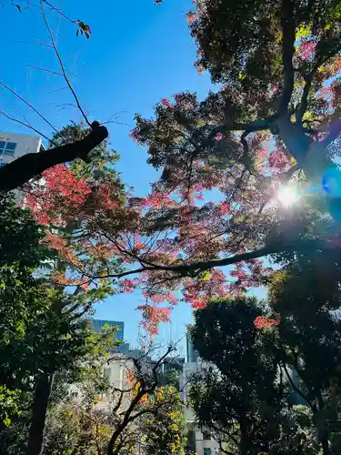 乃木神社(東京都)