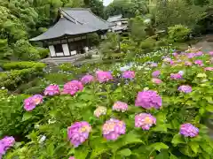 天台宗　長窪山　正覚寺の自然