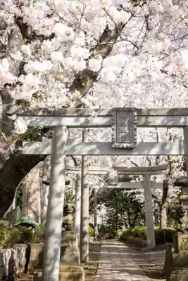 前原御嶽神社(千葉県)