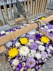 高円寺氷川神社の手水