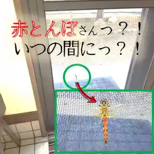 七重浜海津見神社のその他建物(2023年09月15日(金) 08時18分15秒投稿)