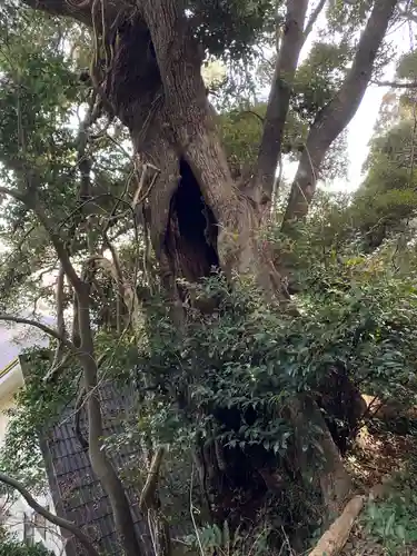 山王神社の庭園