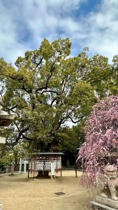 屯倉神社(大阪府)