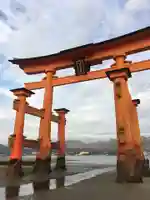 厳島神社の鳥居