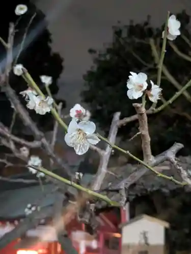 五方山熊野神社(東京都)