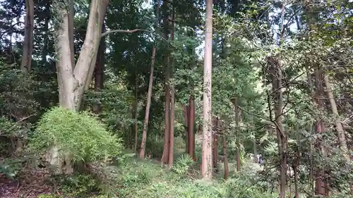 南大沢八幡神社の周辺