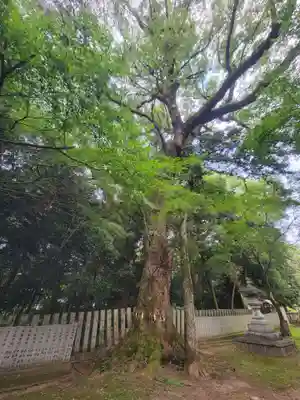 石岡神社(愛媛県)