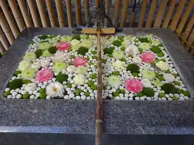 高円寺氷川神社の手水舎