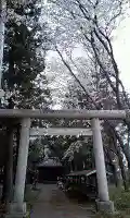 倉田氷川神社の鳥居