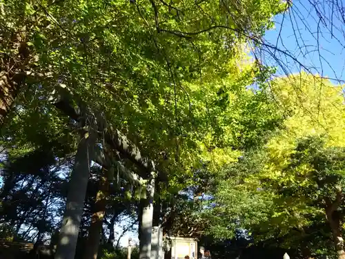 葛原岡神社の自然