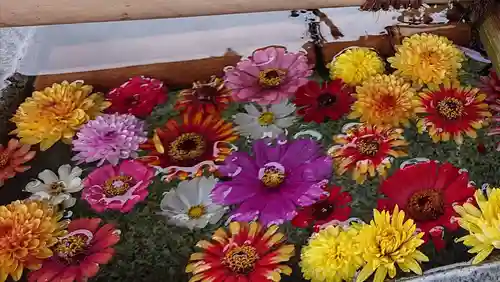 今市報徳二宮神社の手水舎