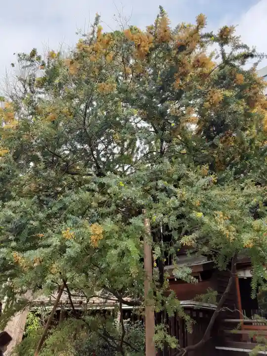 蔵前神社(東京都)