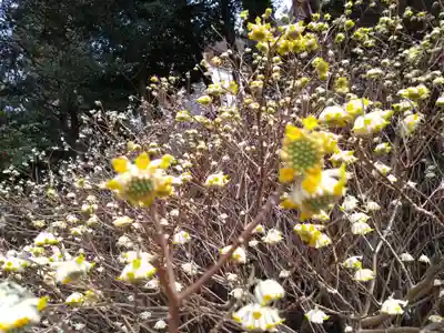 英彦山神宮(福岡県)