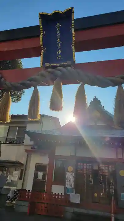 金刀比羅大鷲神社の本殿・本堂